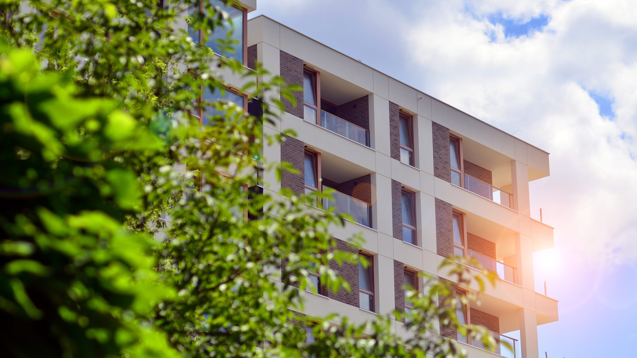 Housing market shows only positive indicators despite worsening population expectations