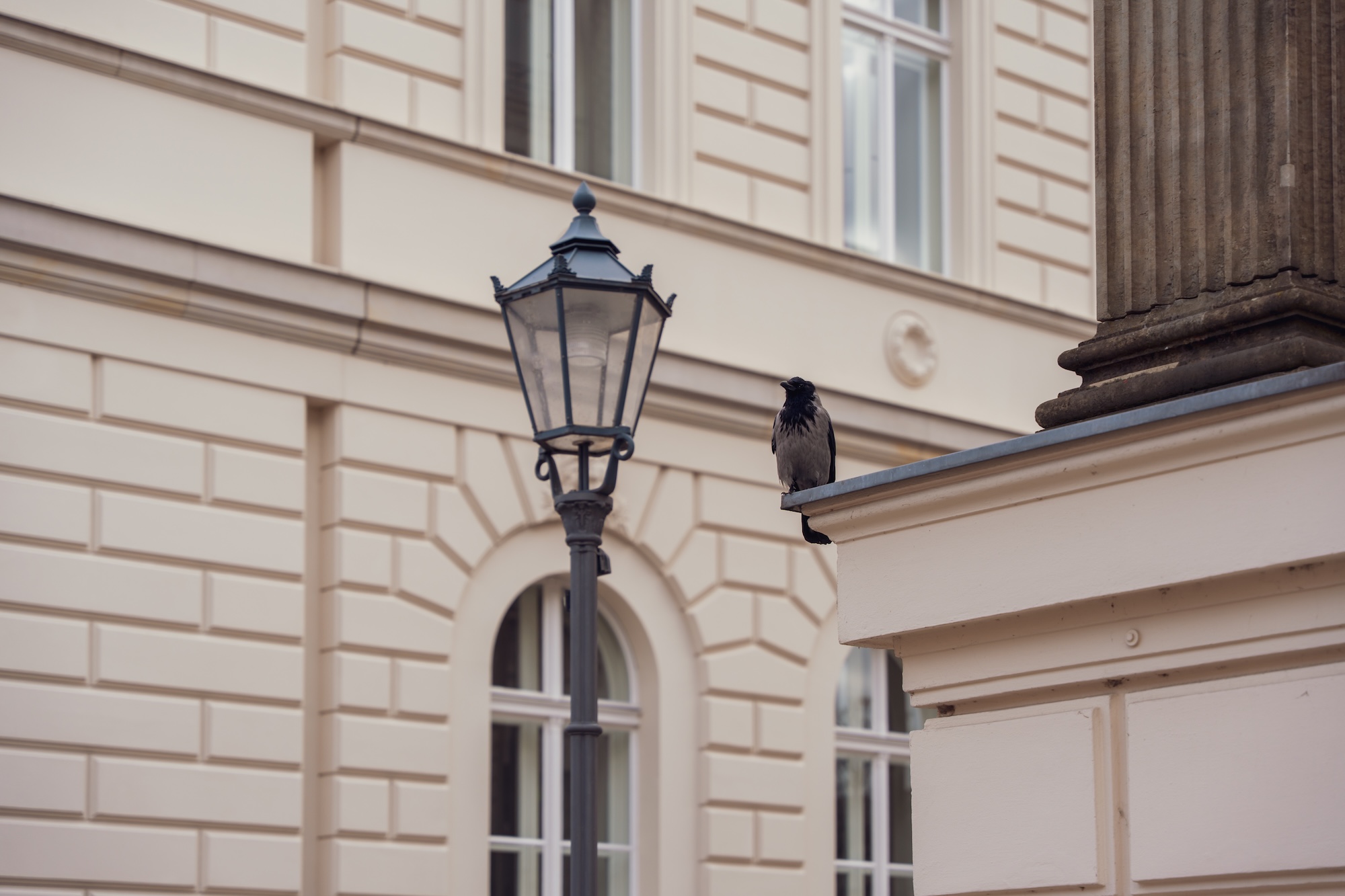 The housing market is showing the first signs of stabilization